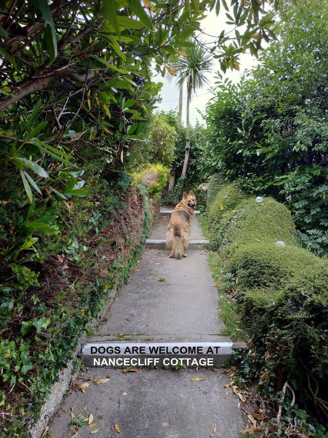 Dog Friendly Nancecliff Cottages لوي المظهر الخارجي الصورة