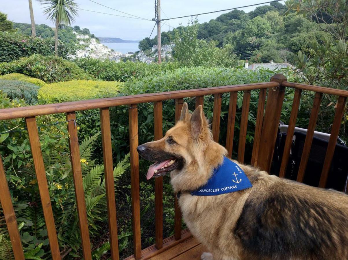 Dog Friendly Nancecliff Cottages لوي المظهر الخارجي الصورة