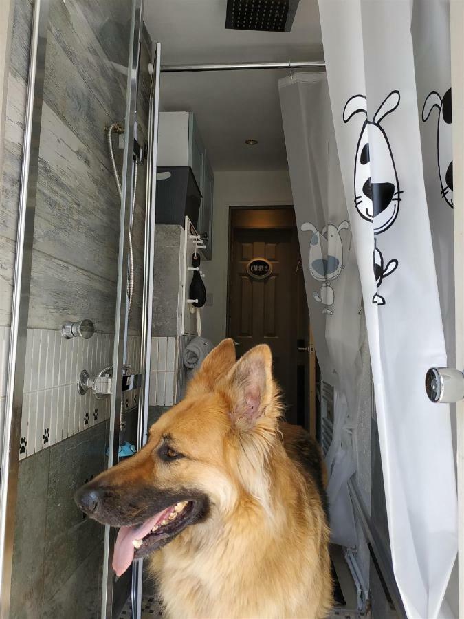 Dog Friendly Nancecliff Cottages لوي المظهر الخارجي الصورة