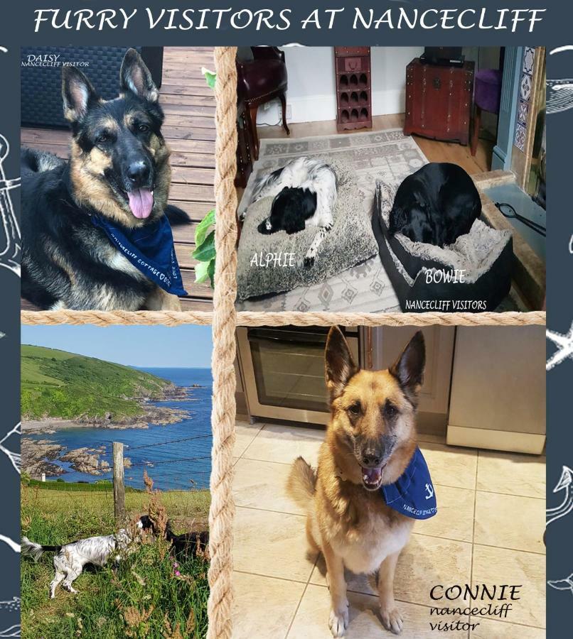 Dog Friendly Nancecliff Cottages لوي المظهر الخارجي الصورة