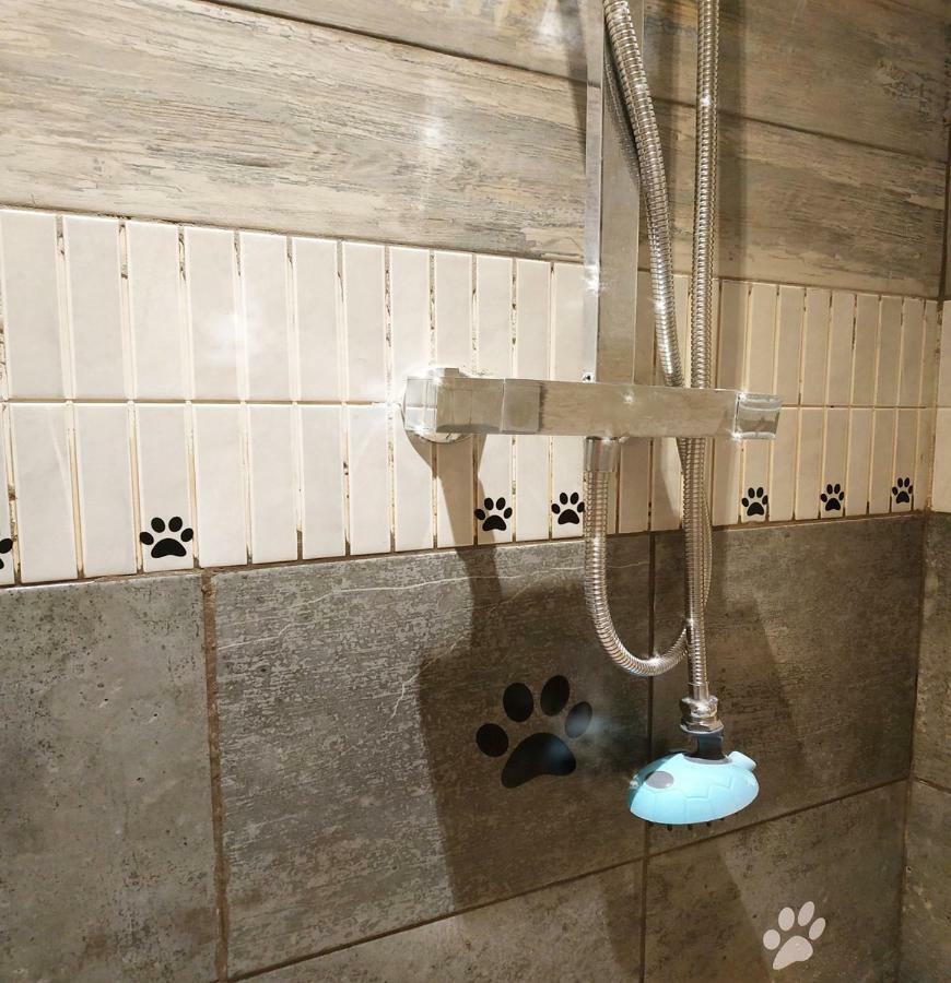 Dog Friendly Nancecliff Cottages لوي المظهر الخارجي الصورة