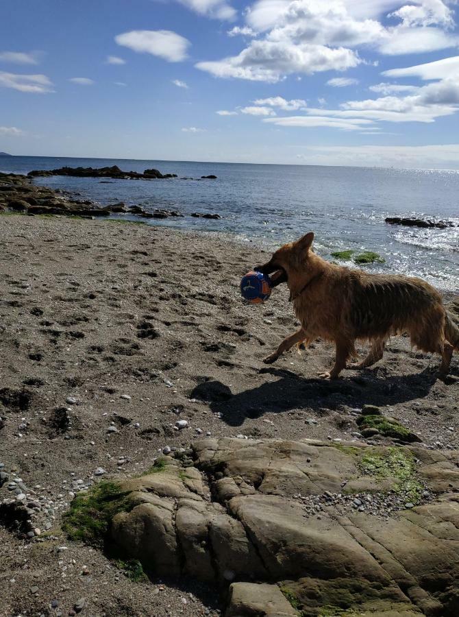 Dog Friendly Nancecliff Cottages لوي المظهر الخارجي الصورة